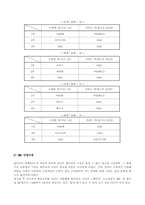 [마케팅]르노 삼성자동차 SM3 마케팅전략-5
