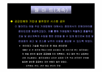 [마케팅]`월마트`의 성장과정과 SWOT 마케팅분석-12