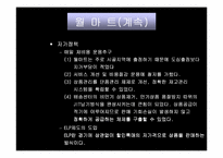 [마케팅]`월마트`의 성장과정과 SWOT 마케팅분석-14