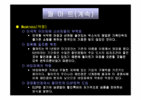 [마케팅]`월마트`의 성장과정과 SWOT 마케팅분석-16