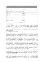 [국제마케팅]`대나무 통 와인삼겹살` 일본시장진출 마케팅 전략-6