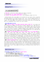 [국제마케팅]렉서스 `Lexus`의 현지 마케팅 현황 및 문제점-11