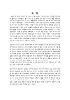 [국제경영]넥슨의 해외진출 성공요인 분석-2