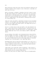 블루투스란 레포트-2