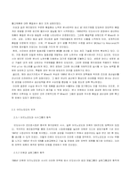 [국제경영](주)대상 미원 인도네시아 진출 전략 분석-5