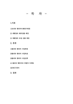 [국제마케팅](주)태평양화장품 해외진출 전략 - 롤리타렘피카-8
