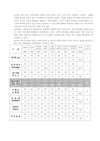 [사업계획서]인터넷 전문 미팅 사이트 사업계획서-12