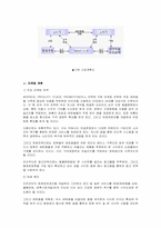 [사압계획서]애완동물 포털 사이트 사업계획서-4