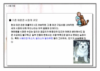 [사업계획서]애완견 분양 사업계획서-5