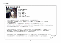 [사업계획서]애완견 분양 사업계획서-8