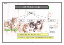 [사업계획서]애완견 분양 사업계획서-13
