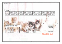 [사업계획서]애완견 분양 사업계획서-15