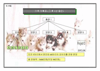 [사업계획서]애완견 분양 사업계획서-16