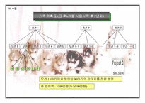 [사업계획서]애완견 분양 사업계획서-17