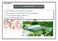 [사업계획서]애완견 분양 사업계획서-20