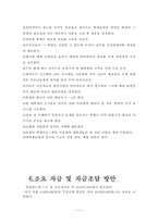 [사업계획서][창업] 사업계획서 Safe Go Home-11