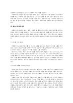 [사회복지정책]청소년복지정책-13