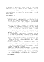 [국제광고론]국제기업의 광고전략과 사례연구- 대우-4