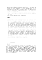 [국제광고론]국제기업의 광고전략과 사례연구- 대우-8