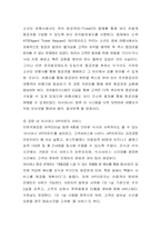 [마케팅] 항공사 <아시아나>에 대한 철저한 마케팅분석-3