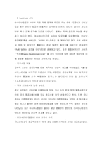 [마케팅] 항공사 <아시아나>에 대한 철저한 마케팅분석-12