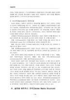 [국제경영]ABB사의 글로벌 매트릭스 전략-4