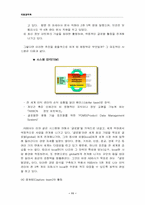 [국제경영]ABB사의 글로벌 매트릭스 전략-11