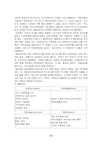 [마케팅분석]현대자동차 투스카니 마케팅전략-11