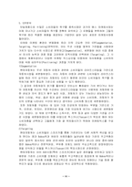[마케팅분석]현대자동차 투스카니 마케팅전략-12