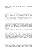 [마케팅분석]현대자동차 투스카니 마케팅전략-14