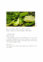 [사업계획서]과일 & 샐러드 커피숍 까페 사업계획서-12