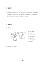 [토목공학, 건축공학]부유물질에 관한 실험-3