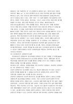 [국제마케팅]현대자동차 겟츠의 스페인시장에서 마케팅전략-9