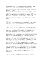 [국제마케팅]현대자동차 겟츠의 스페인시장에서 마케팅전략-11