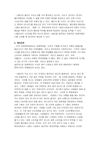 [국제마케팅]현대자동차 겟츠의 스페인시장에서 마케팅전략-14