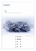 겨울소나무-1