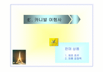 [사업계획서]여행사 사업계획서-19