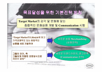 [브랜드마케팅]브랜드마케팅 성공사례 -SK텔레콤 `TTL` 사례분석-13