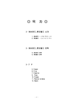 [마케팅]에버랜드와 롯데월드 비교분석-2
