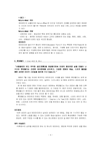 [마케팅]에버랜드와 롯데월드 비교분석-4