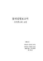 [교양물리] 시지푸스의 고민 실험보고서-8
