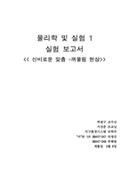 [보고서] 물리 실험 보고서입니다-1