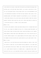 [연영] 영화평론 -쉬리--4