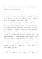 [연영] 영화평론 -쉬리--5
