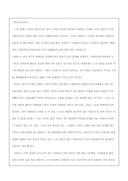 [연영] 영화평론 -쉬리--8