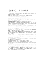 [영문학] 섹스피어 시대 드라마에 대한 리포트-2