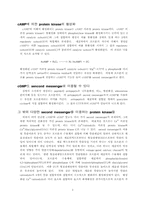 [의학;생화학] cAMP와 protein kinase-4
