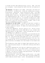 [자연] 어지러움증-6