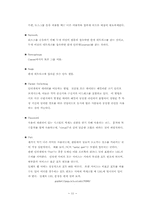 [전산] 인터넷이란(인터넷의 정의, 용어정리 등)-11