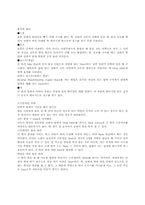 [체육] 스쿼시의 역사 및 규칙, 규격-2